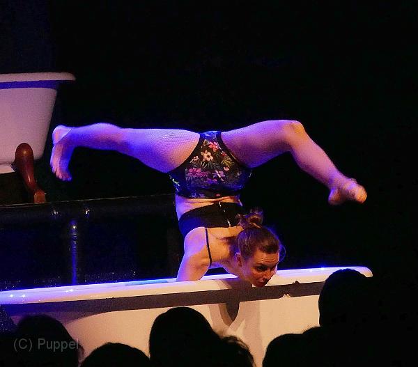 T-20161201-201629_P1580294-GX aaa.jpg